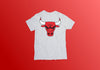 4oNe3 Chicago Bulls Vintage T-Shirt