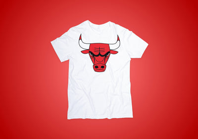 4oNe3 Chicago Bulls Vintage T-Shirt