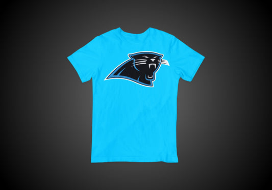 4oNe3 Carolina Panthers Vintage T-Shirt