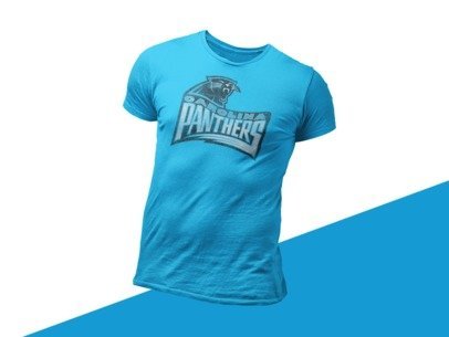 4oNe3 Carolina Panthers Vintage T-Shirt