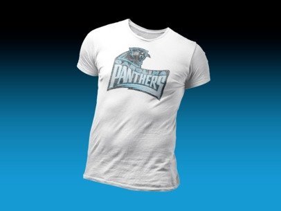 4oNe3 Carolina Panthers Vintage T-Shirt