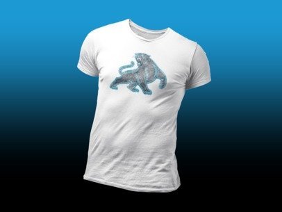 4oNe3 Carolina Panthers Vintage T-Shirt