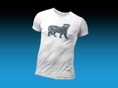 4oNe3 Carolina Panthers Vintage T-Shirt